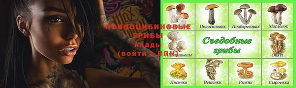 прущие грибы Магас