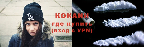 прущие грибы Магас