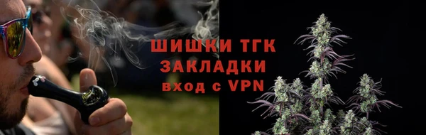 прущие грибы Магас
