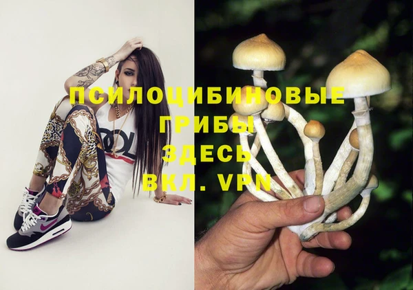 прущие грибы Магас