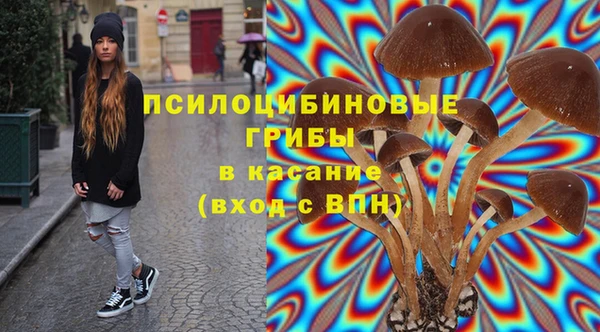 МДПВ Магадан