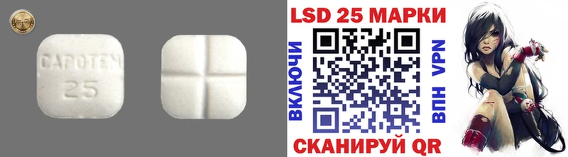 ЛСД экстази кислота Купить закладки Шенкурск