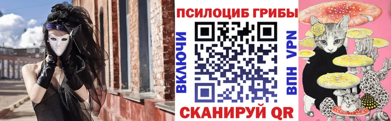 Купить где  Шенкурск  Галлюциногенные грибы Psilocybe 