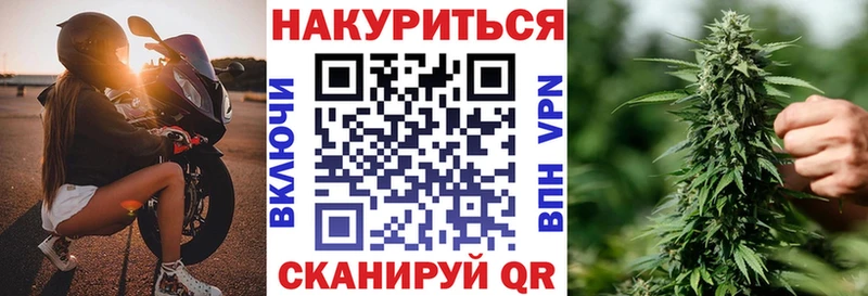 Купить  Шенкурск  Канабис Amnesia 